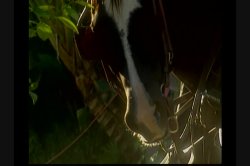 Captura de 'Ass Angels 1' nº 34