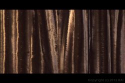 Captura de 'What's a Girl Gotta Do?' nº 1