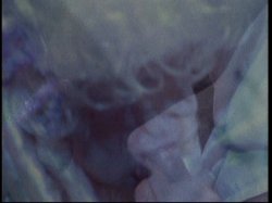 'Appassionata' screenshot nº 96