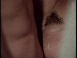 'Appassionata' screenshot nº 140