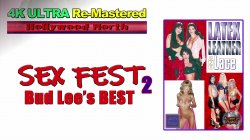 'Sex Fest 2 Best of Bud' screenshot nº 2