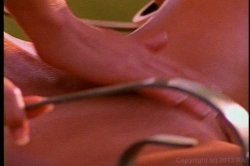'Outdoor Ecstacy' screenshot nº 63