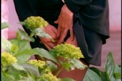 'Outdoor Ecstacy' screenshot nº 70