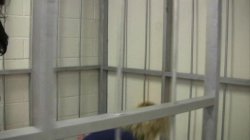 'Scenes From The Jerkyville Jail Vol. 1' screenshot nº 126