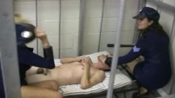 'Scenes From The Jerkyville Jail Vol. 1' screenshot nº 85