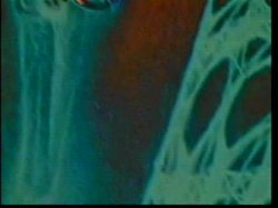 'Big Tits on Hot Chicks' screenshot nº 128