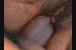 Captura de 'Black Big Butt Nurses 2' nº 103