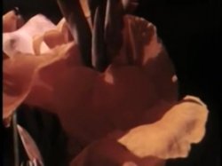 'Love at First Sight (Gourmet)' screenshot nº 116