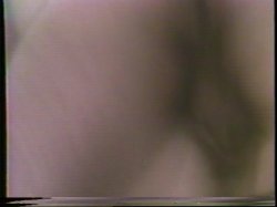 'Perfect Gift' screenshot nº 14