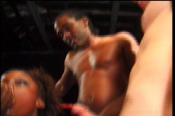 Captura de 'American Cocksucking Championship 5' nº 50