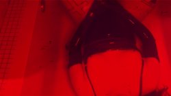 Captura de 'Reclaimed: Long Live Queer Porn' nº 3