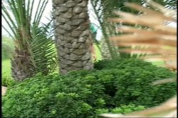 '2 Kinky 4 U' screenshot nº 83