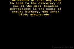 'Texas Dildo Masquerade' screenshot nº 1