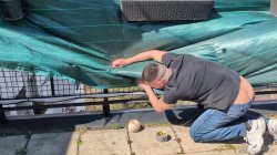 'Cheating Wife Merida Sat Gets Creampied by The Huge Cock Handyman' screenshot nº 20