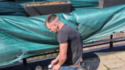 'Cheating Wife Merida Sat Gets Creampied by The Huge Cock Handyman' screenshot nº 21