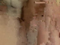 Captura de 'Tight Holes Big Poles Vol. 3' nº 128