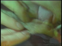 Captura de 'Spending the Night With Dayton' nº 87