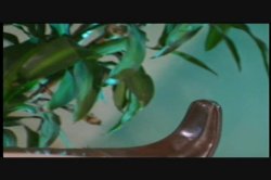'Vivid Superstars - Mercedez' screenshot nº 13