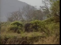 Captura de 'Africa Connection' nº 1