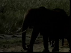 Captura de 'Africa Connection' nº 11