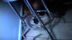 'Frat House Fuckfest 7' screenshot nº 138