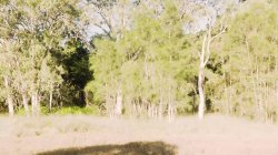 'Model Time Volume 9' screenshot nº 92