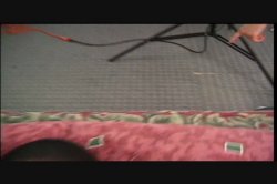 'More Black Dirty Debutantes #11' screenshot nº 74