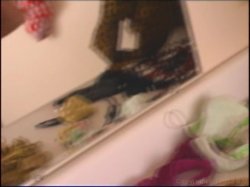 Captura de '18 and Lost in Miami' nº 91