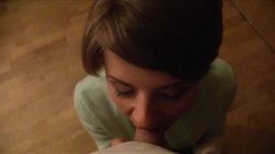 'Public Agent Volume 5' screenshot nº 45