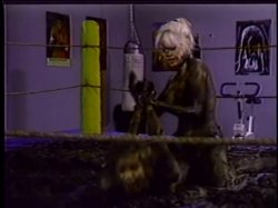 'Bizarre's Wrestlemania' screenshot nº 108