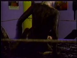 'Bizarre's Wrestlemania' screenshot nº 109