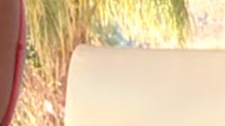 'White Mommas Vol. 6' screenshot nº 122
