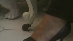 'Filthy Euro Girls 6' screenshot nº 51