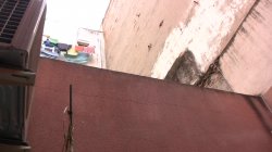 Captura de 'Mamadas Callejeras Vol. 2' nº 137