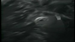 Captura de 'Malibu Hardbodies' nº 129