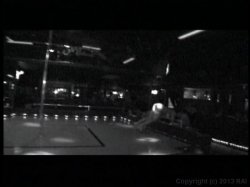 Captura de 'Welcome to the Cathouse' nº 3