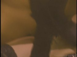 'Big Bust Bangers' screenshot nº 87