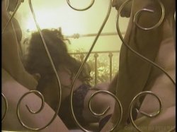 'Big Bust Bangers' screenshot nº 92