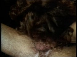'Oscene Dreams of Angelica, The' screenshot nº 78