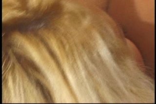 Decadent Divas 18 - Escena1 - 4