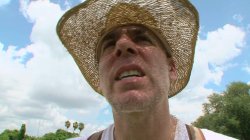 Captura de 'Can't Be Roots - XXX Parody' nº 140