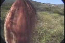 'I Swallow 5' screenshot nº 41