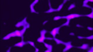 Glazed &amp; Cumfused 3 - Scene9 - 1