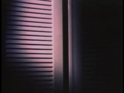 'Let's Talk Sex' screenshot nº 9