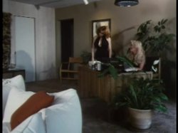 'Let's Talk Sex' screenshot nº 28