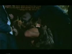 Captura de '3 Into Taylor Hayes' nº 131