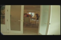 Captura de 'Video Adventures of Peeping Tom 12' nº 36