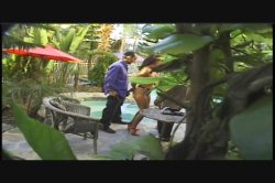 Captura de 'Video Adventures of Peeping Tom 12' nº 92