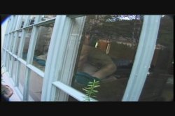 Captura de 'Video Adventures of Peeping Tom 12' nº 130