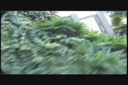 Captura de 'Video Adventures of Peeping Tom 12' nº 13